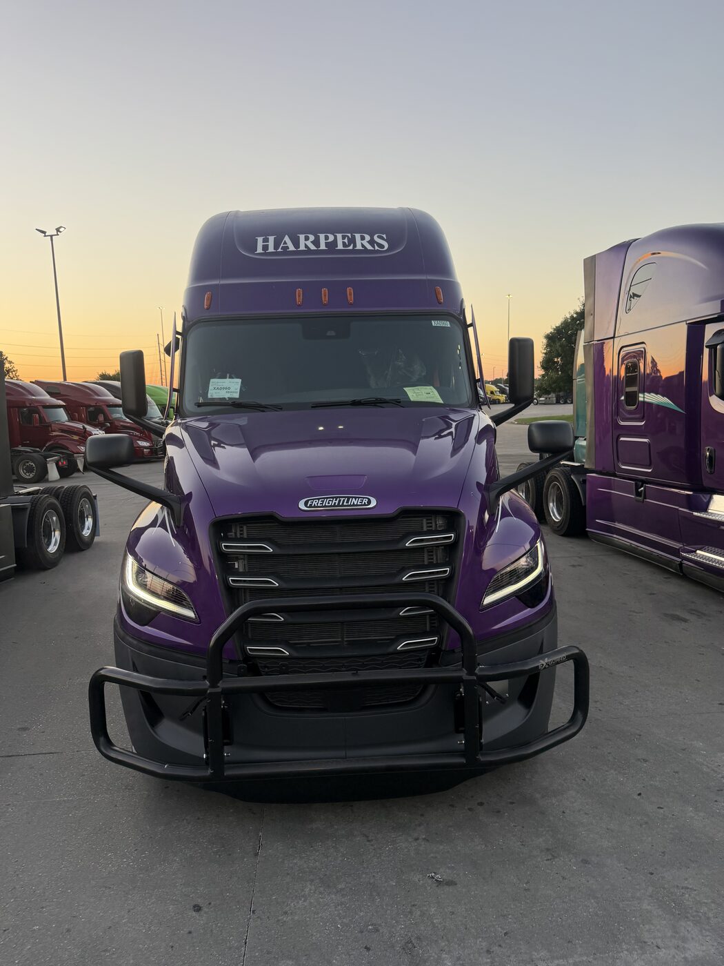 In The Yard At Sunrise — temporary imagery pending Harper-owned photography
